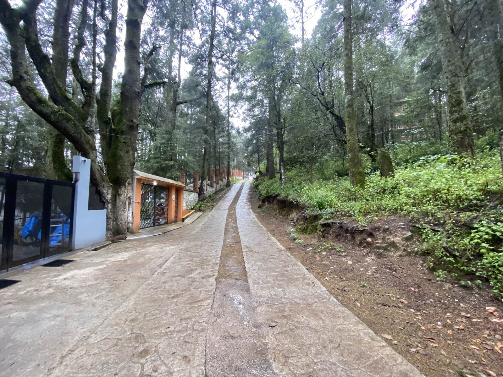 Real Las Flores – Lote Tipo - imagen 5