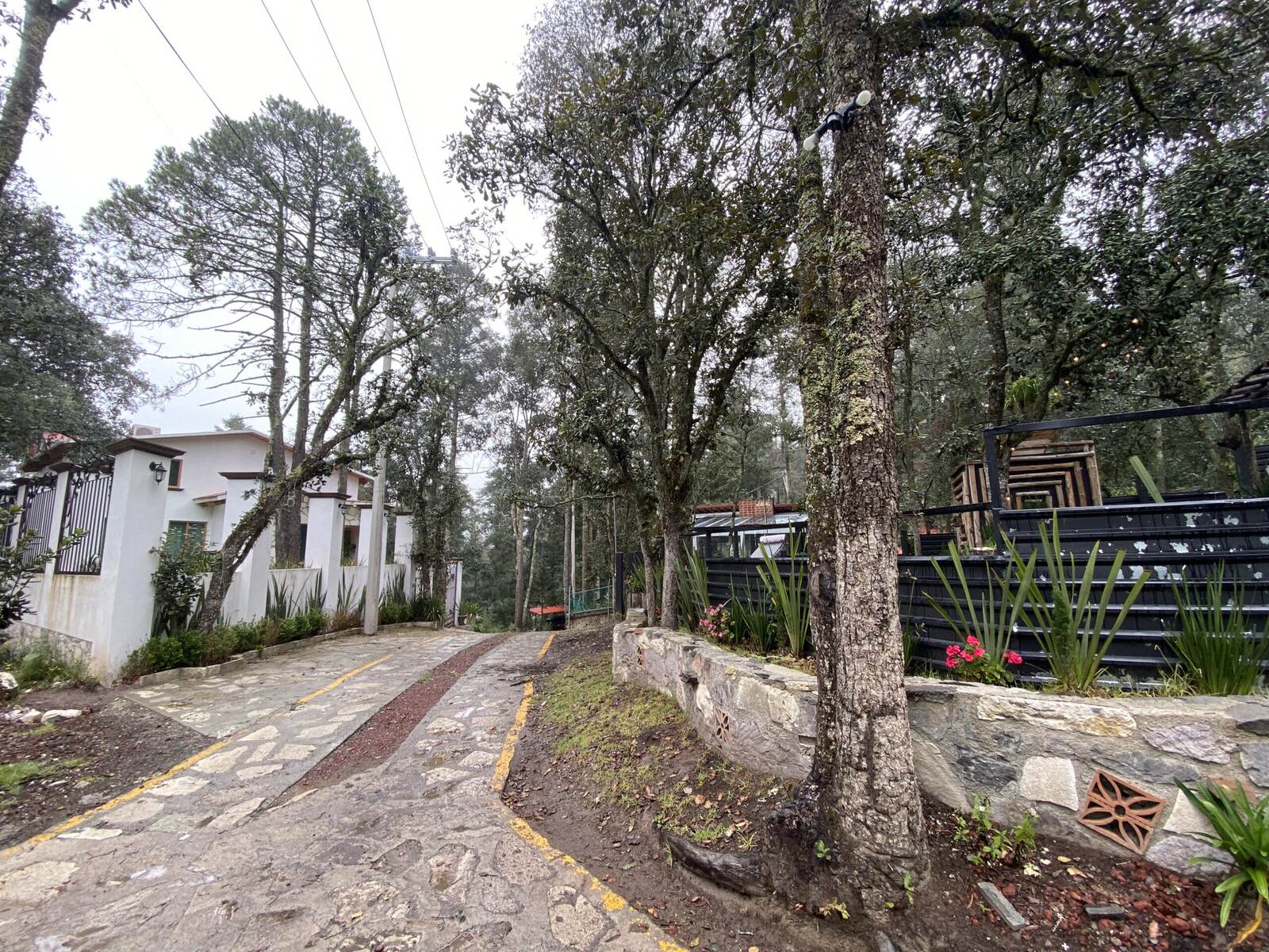 Real Las Flores – Lote Tipo - imagen 7
