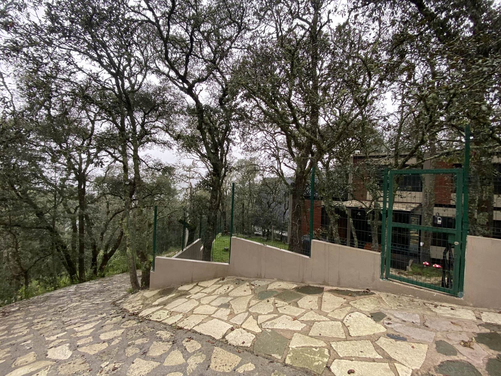 Real Las Flores – Lote Tipo - imagen 8