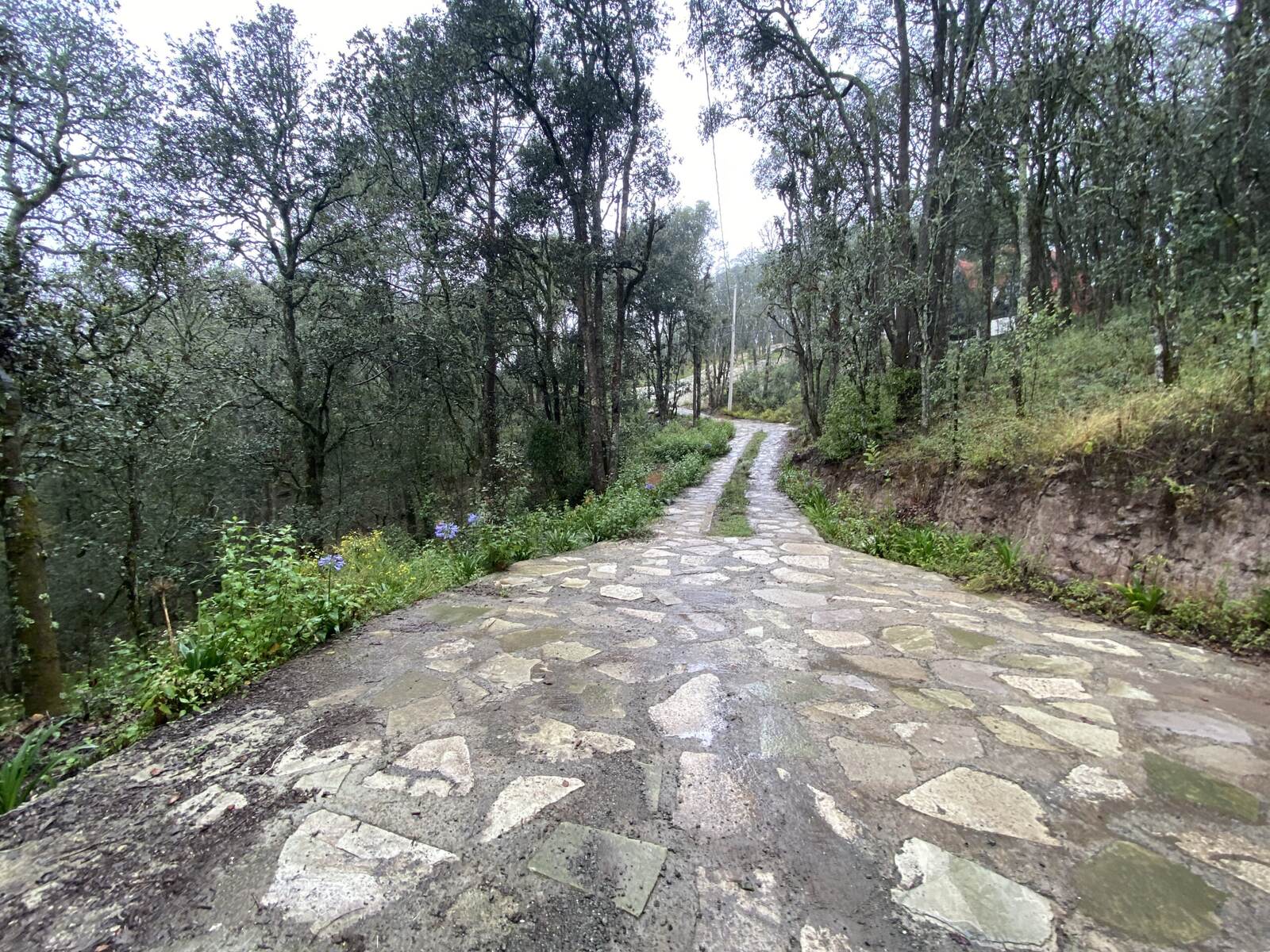 Real Las Flores – Lote Tipo - imagen 11
