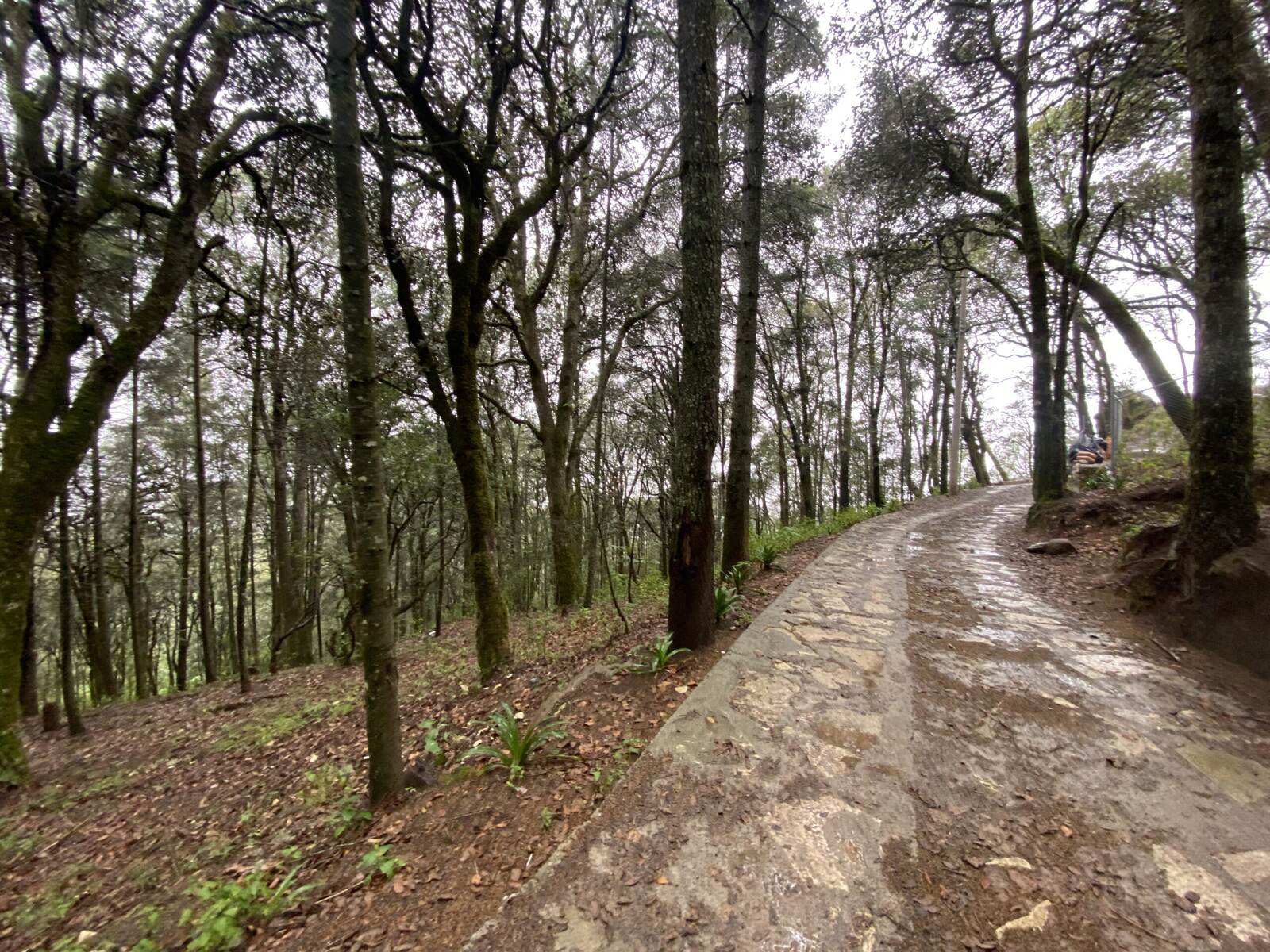Real Las Flores – Lote Tipo - imagen 12
