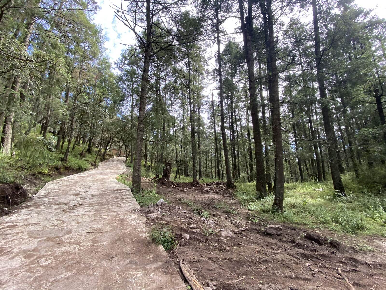Real Las Flores – Lote Tipo - imagen 13