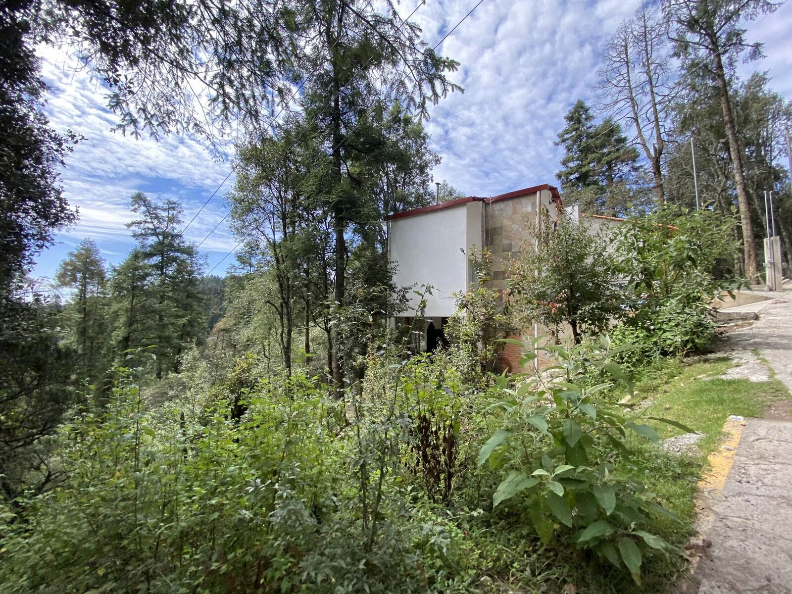 Real Las Flores – Lote Tipo - imagen 18
