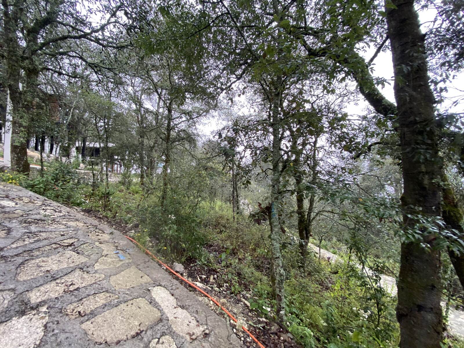 Real Las Flores – Lote Tipo - imagen 28