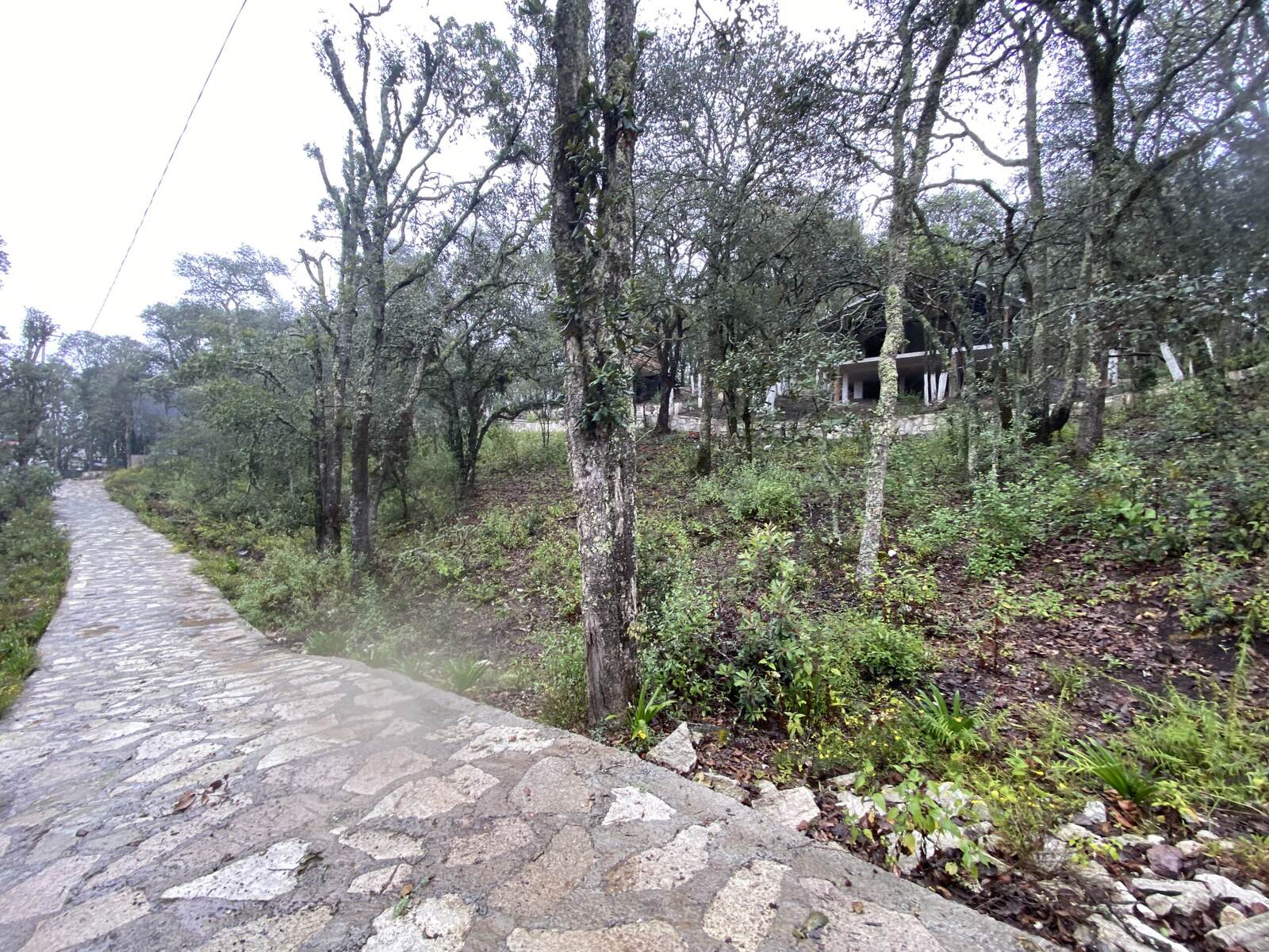 Real Las Flores – Lote Tipo - imagen 29