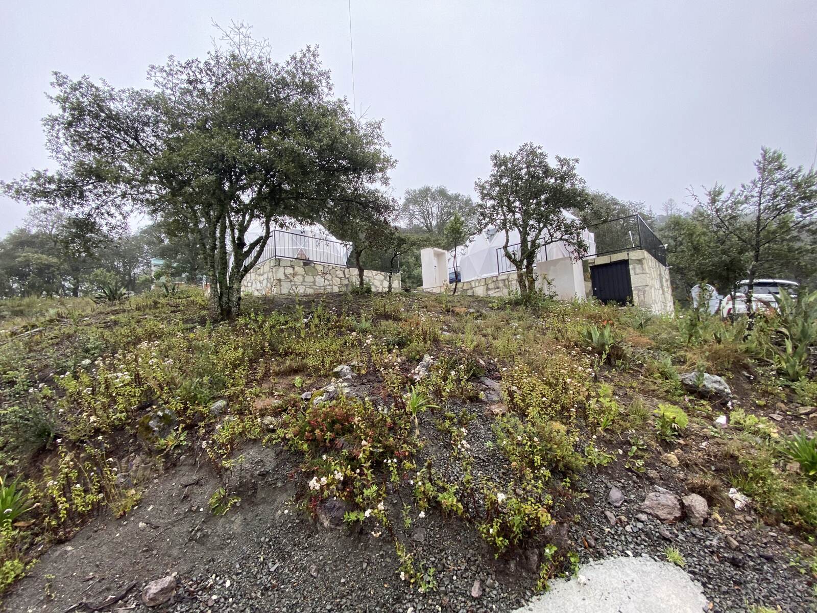 Real Las Flores – Lote Tipo - imagen 33
