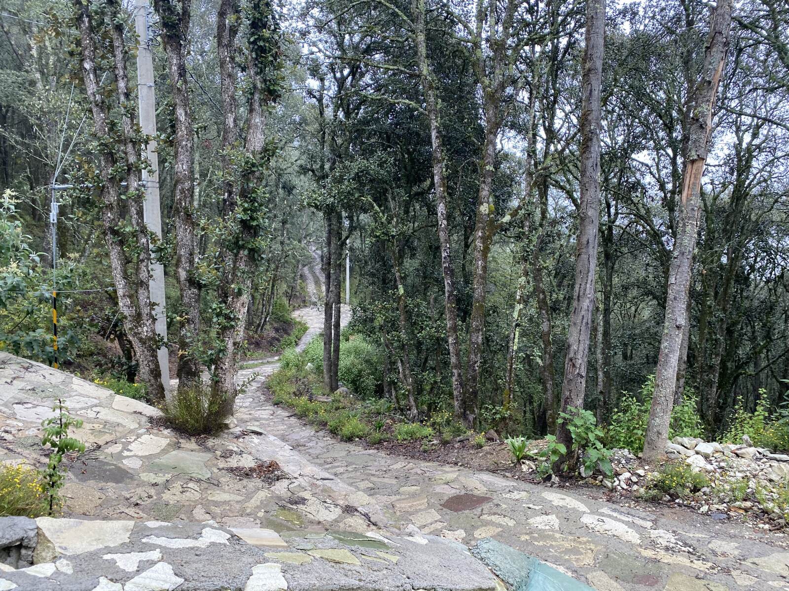 Real Las Flores – Lote Tipo - imagen 34