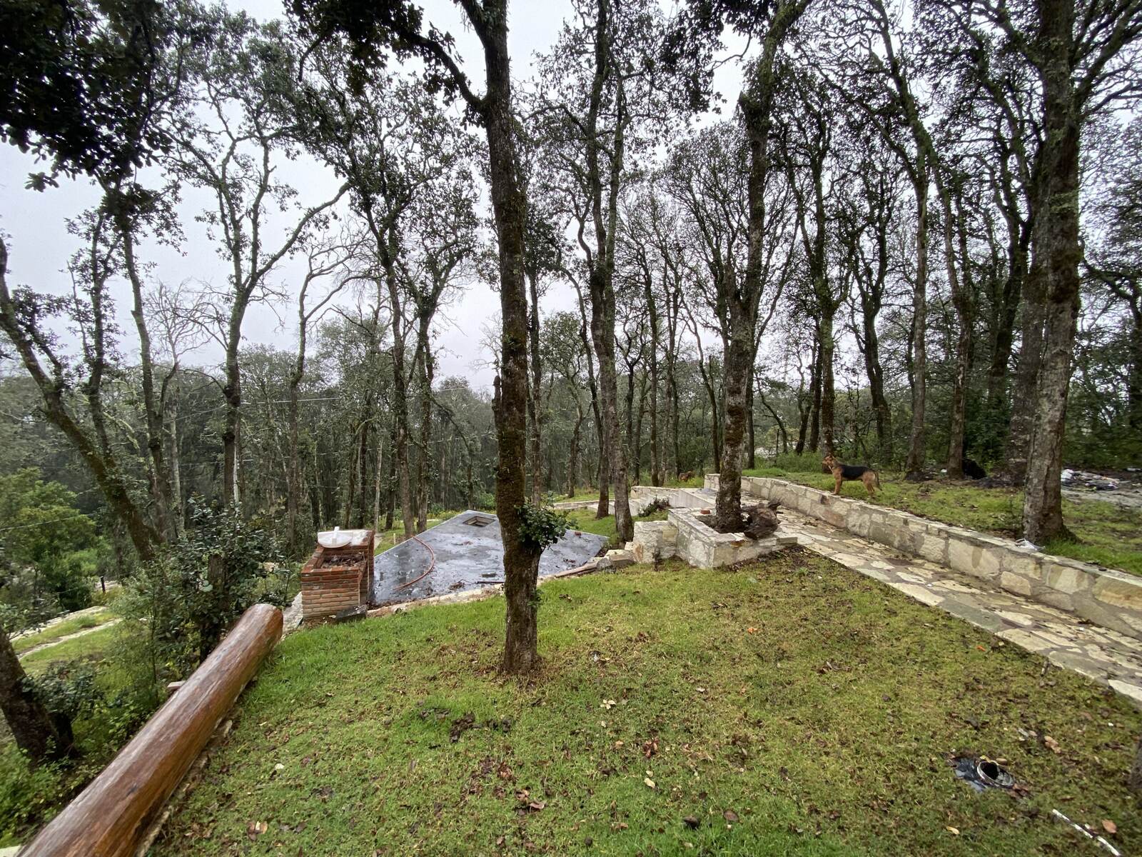 Real Las Flores – Lote Tipo - imagen 35