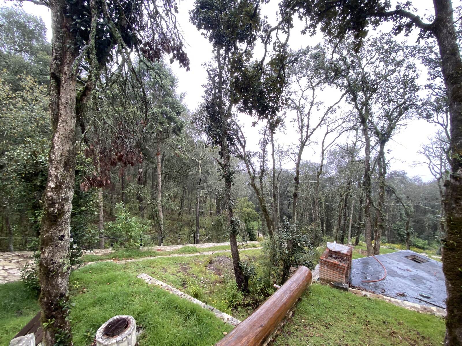 Real Las Flores – Lote Tipo - imagen 37