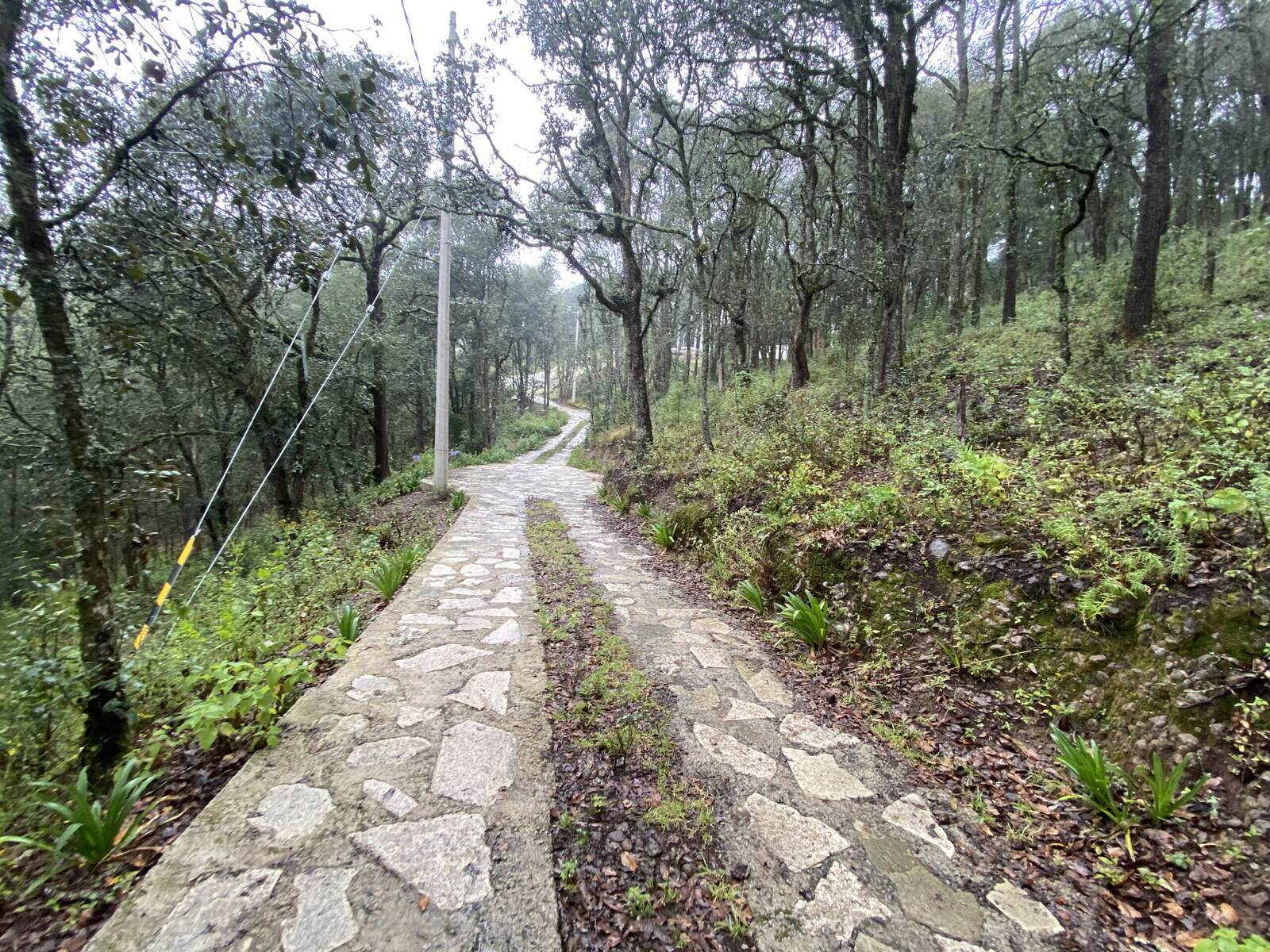 Real Las Flores – Lote Tipo - imagen 43