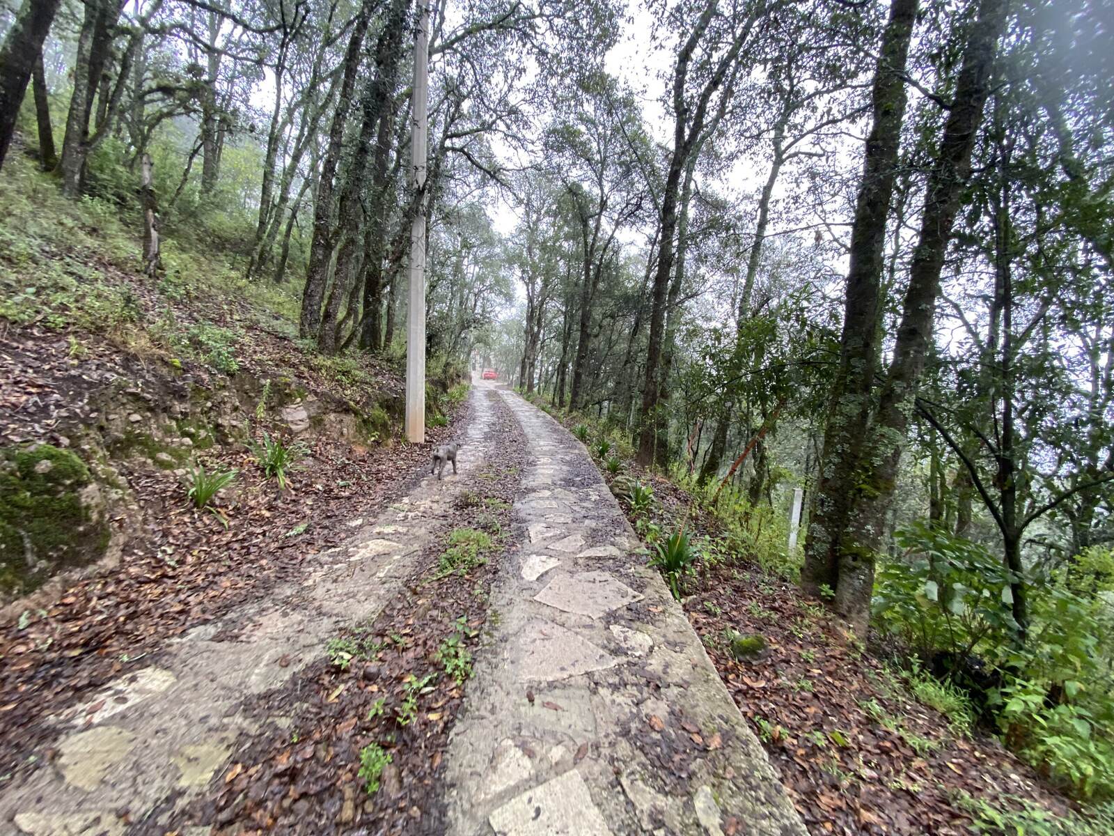 Real Las Flores – Lote Tipo - imagen 44