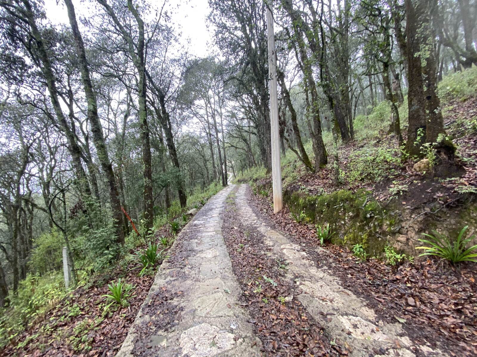 Real Las Flores – Lote Tipo - imagen 46