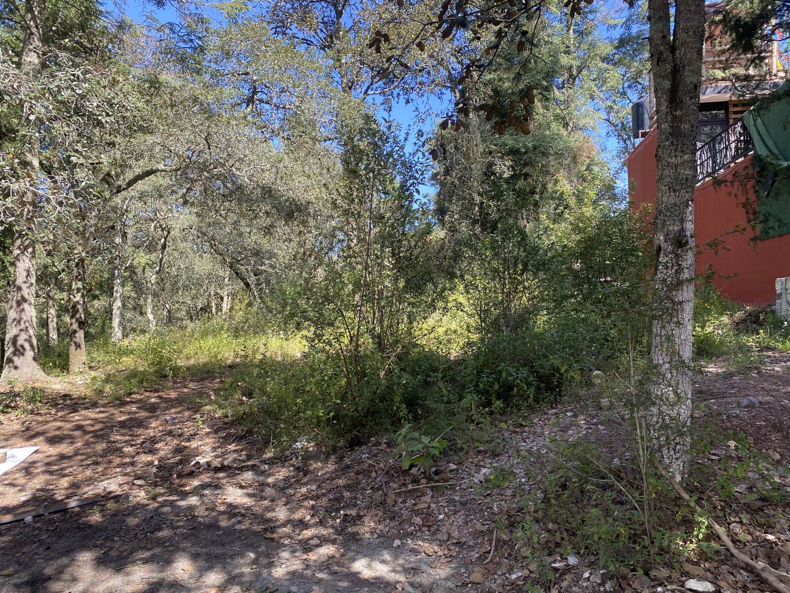 Real Las Flores – Lote Tipo - imagen 51