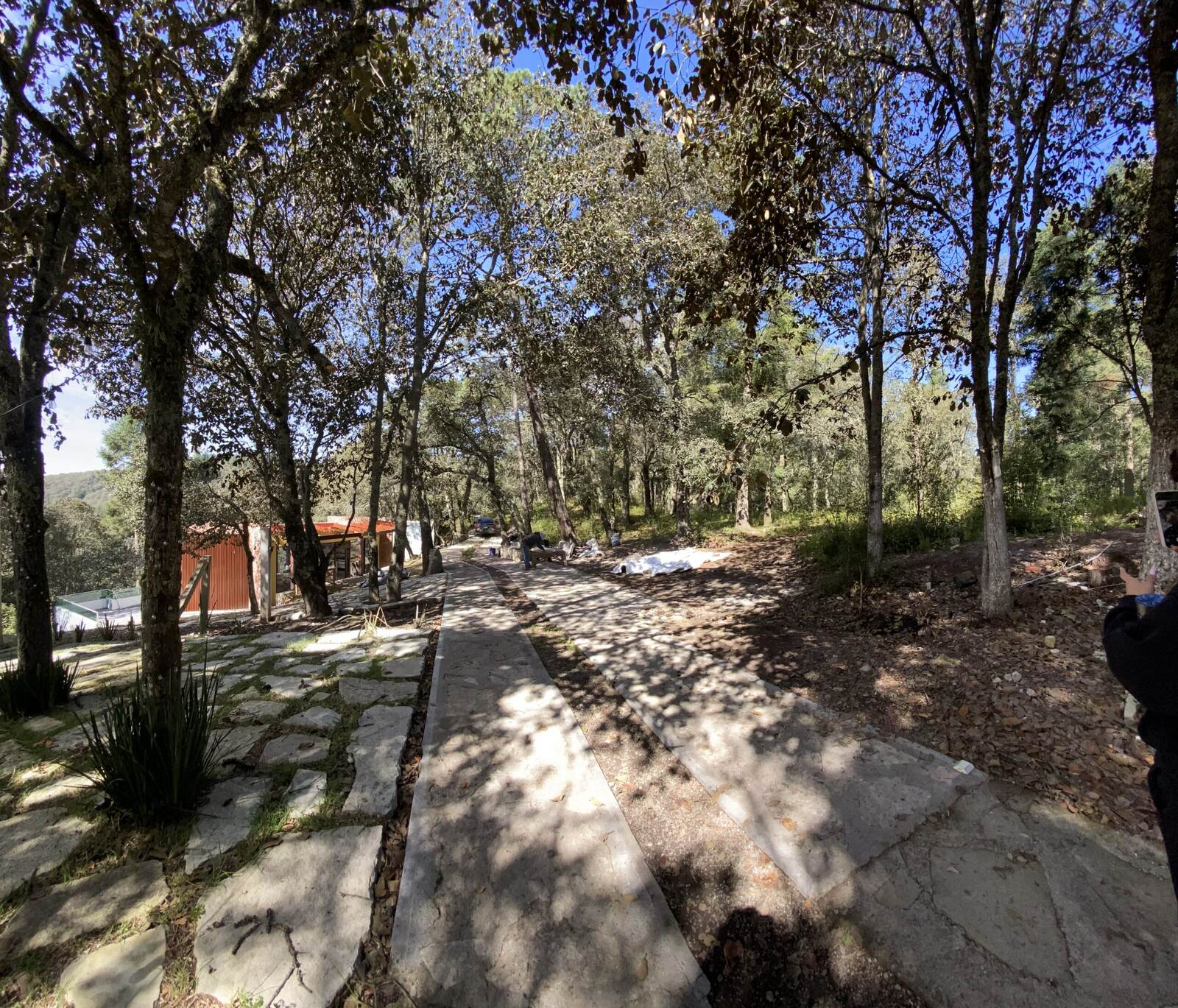 Real Las Flores – Lote Tipo - imagen 52